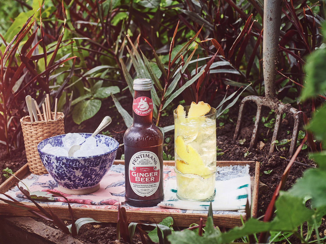 Fentimans Ginger Beer serve in a garden setting