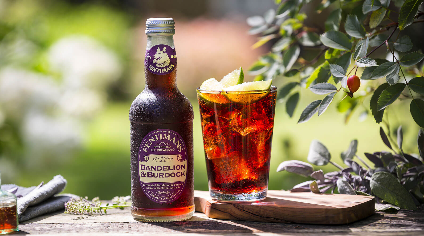 Fentimans Dandelion Burdock